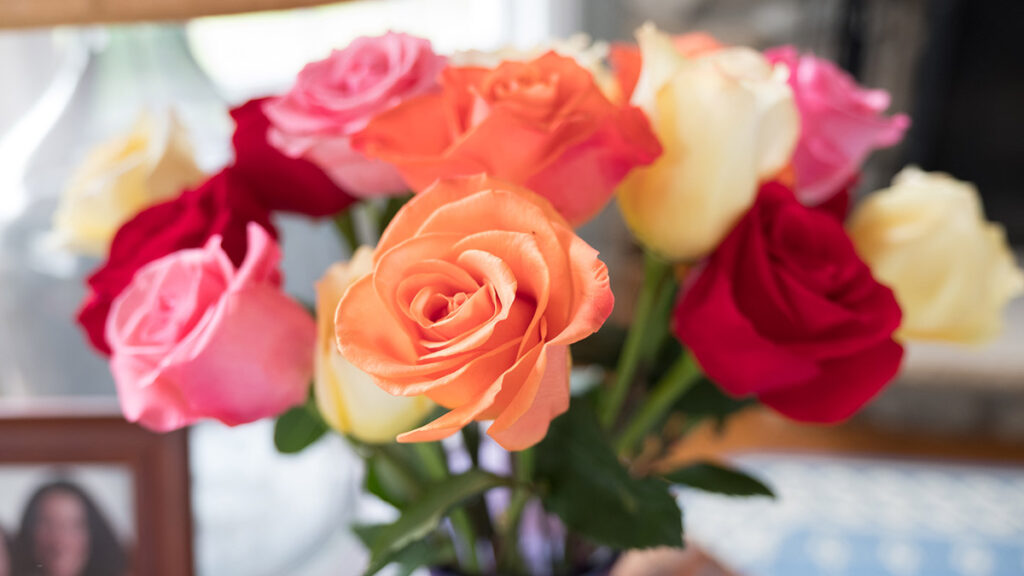 Why are roses considered to be the best flower for valentine's day gift?